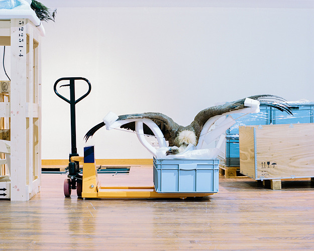 http://www.arnopaul.net/files/gimgs/15_arnopaul-inventaire-01.jpg