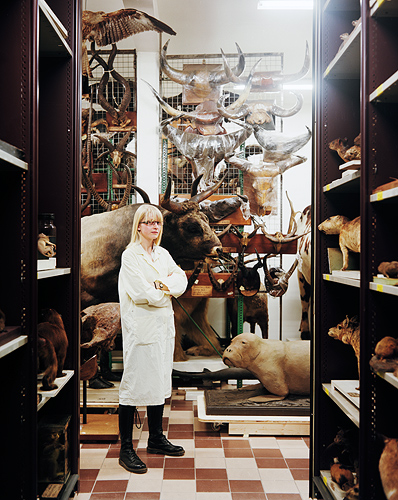 http://www.arnopaul.net/files/gimgs/8_arnopaul-aureliebraxenthaler.jpg