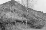 f-vallee_30